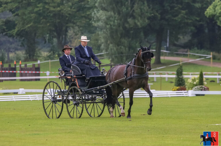 Fahrsportversammlung